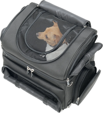 Load image into Gallery viewer, Saddlemen Pet Voyager EX000627 - Back View