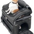 Load image into Gallery viewer, Saddlemen Pet Voyager EX000627 - Additional View 6