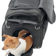 Load image into Gallery viewer, Saddlemen Pet Voyager EX000627 - Additional View 9
