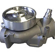 Load image into Gallery viewer, Saleri Water Pump PA1466