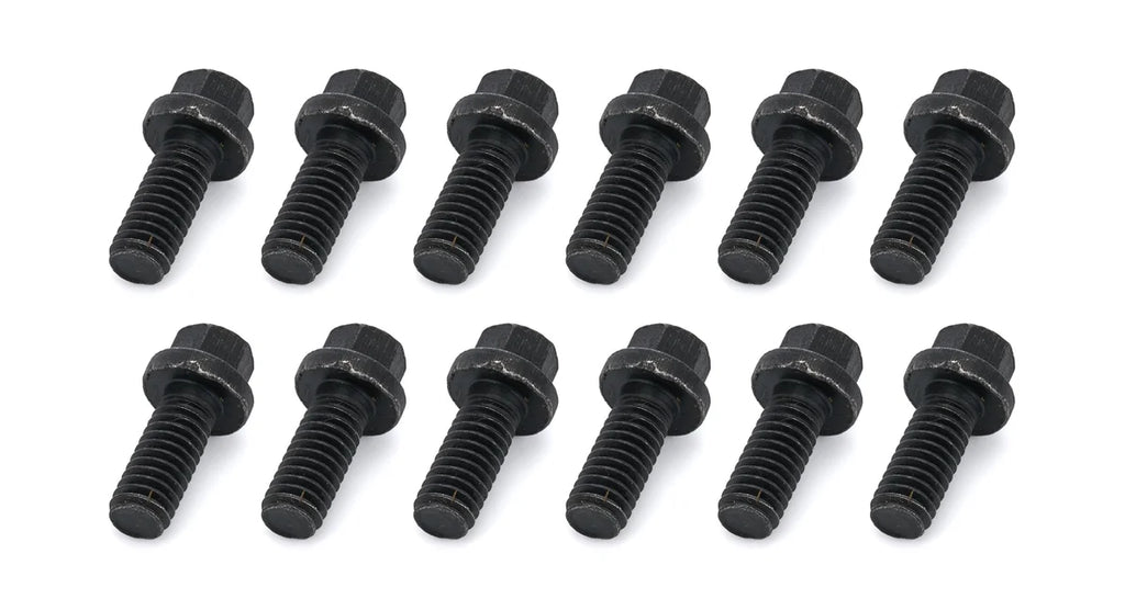 Schoenfeld Headers BOLT 5/16in X 3/4in (MOP AR)-12 3003-12
