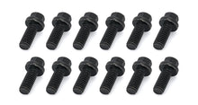 Load image into Gallery viewer, Schoenfeld Headers BOLT 5/16in X 3/4in (MOP AR)-12 3003-12