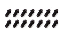 Load image into Gallery viewer, Schoenfeld Headers Header Bolt 3/8-16x3/4in 5/16 Head  14pk 3006-14
