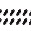 Load image into Gallery viewer, Schoenfeld Headers Header Bolt 3/8-16x3/4in 5/16 Head  16pk 3006-16