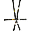 Load image into Gallery viewer, Schroth Racing 5pt Harness LL2 P/U L&amp;R 2in Black SFI 16.1 SR 61750H