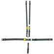 Load image into Gallery viewer, Schroth Racing 5pt Harness System SFI LatchLink Black HANS sr 71050H