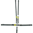 Load image into Gallery viewer, Schroth Racing 5pt Harness System SFI LatchLink Black HANS sr 71750H