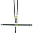 Load image into Gallery viewer, Schroth Racing 5pt Harness System SFI LatchLink Black HANS sr 76050H