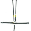 Load image into Gallery viewer, Schroth Racing 5pt Harness System SFI LatchLink Black HANS sr 76751H
