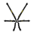 Load image into Gallery viewer, Schroth Racing 6pt Harness Flexi Black FIA Hans SR 94530-0-29