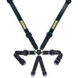 Load image into Gallery viewer, Schroth Racing 6pt Harness Profi 2x2 Pull-Down Lap sr 91152PD O-6