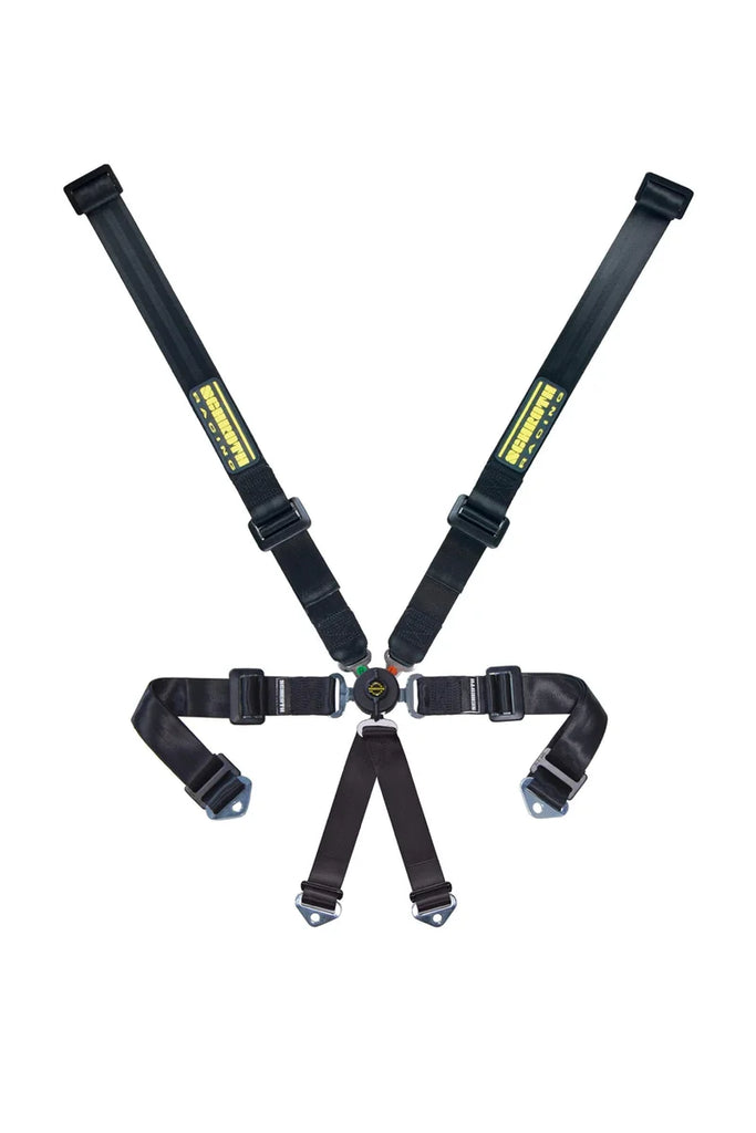 Schroth Racing 6pt Harness Profi 2x2 Pull-Down Lap sr 91152PD O-6