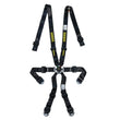 Load image into Gallery viewer, Schroth Racing 6pt Harness Profi 2x2 Pull-Up Lap sr 91152PU O-6