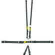 Load image into Gallery viewer, Schroth Racing 6pt Harness System SFI LatchLink Black HANS sr 71760H