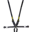 Load image into Gallery viewer, Schroth Racing 6pt Harness System SFI ProFi II Hans Black SR 91143NC