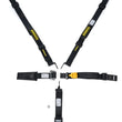 Load image into Gallery viewer, Schroth Racing Harness 5pt LL Ratchet 2in No Lap Adj Black SR68950H