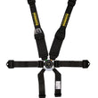 Load image into Gallery viewer, Schroth Racing Harness 6pt Profi 2 Pull -Up Lap RH Hans Shldr sr 91156NC PU