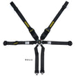 Load image into Gallery viewer, Schroth Racing Harness 6pt Profi 3 Pull -Up Lap RH Hans Shldr SR91556-6PU
