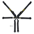 Load image into Gallery viewer, Schroth Racing Harness 6pt Profi II SFI Hans Black SR91543-6