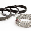 Load image into Gallery viewer, Sealed Power Moly Piston Ring Set E424K40