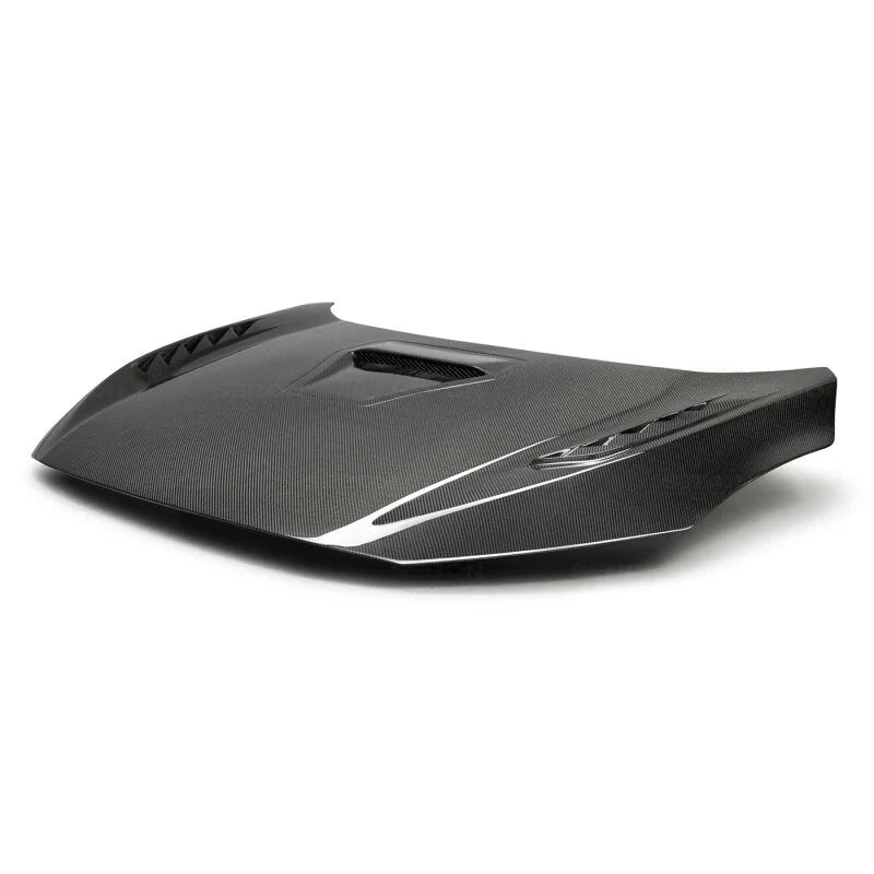 Seibon 17-20 Honda Civic Type-R (FK8) TSII Style Carbon Fiber Hood - Back View