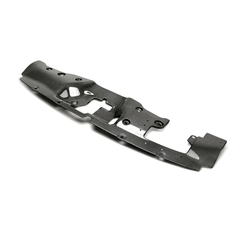 Seibon 2017-2018 Honda Civic Type-R FK8 Carbon Fiber Cooling Plate - Side View