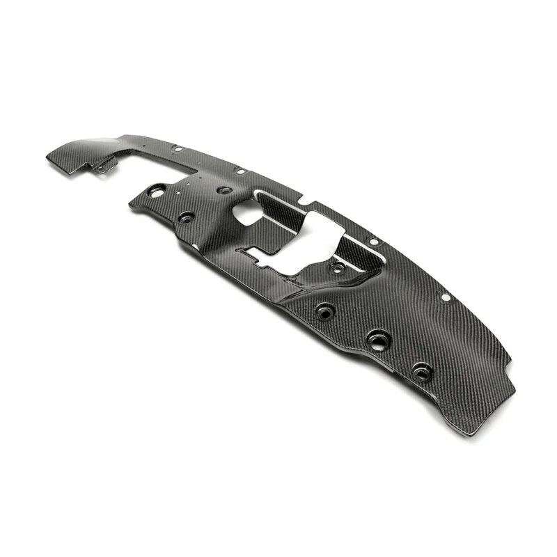 Seibon 2017-2018 Honda Civic Type-R FK8 Carbon Fiber Cooling Plate - Back View