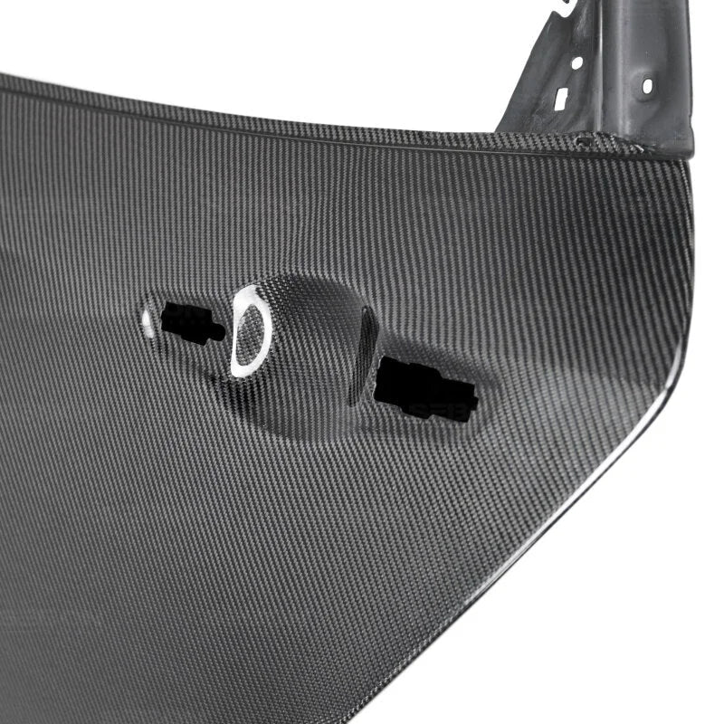 Seibon 2017 Honda Civic Type-R OE Style Gloss Carbon Fiber Rear Doors - Back View