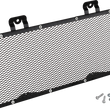Load image into Gallery viewer, Show Chrome Radiator Grille - Mesh - Can-Am - Main Product View