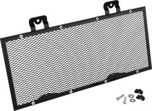 Load image into Gallery viewer, Show Chrome Radiator Grille - Mesh - Can-Am - Main Product View