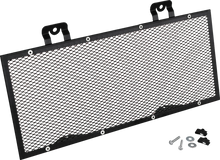 Load image into Gallery viewer, Show Chrome Radiator Grille - Mesh - Can-Am - Back View