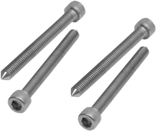 Load image into Gallery viewer, Show Chrome Tapered Seat Bolt Set - Main Product View