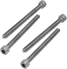 Load image into Gallery viewer, Show Chrome Tapered Seat Bolt Set - Side View