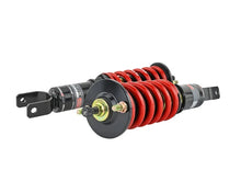 Load image into Gallery viewer, Skunk2 00-09 Honda S2000 Pro-ST Coilovers - Mono-Tube Shortened Damper - Additional View 5