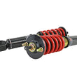 Load image into Gallery viewer, Skunk2 00-09 Honda S2000 Pro-ST Coilovers - Mono-Tube Shortened Damper - Additional View 6