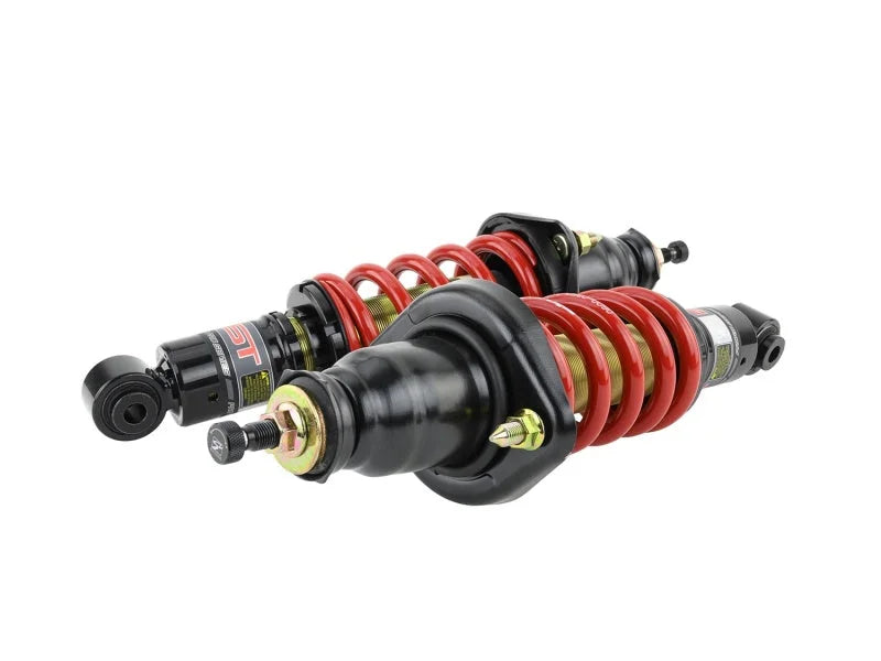 Skunk2 01-05 Honda Civic / 01-05 Acura Integra Pro-ST Coilovers (Front 10 kg/mm - Rear 10 kg/mm) - Back View