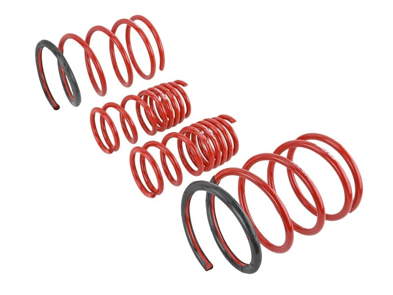 Skunk2 01-05 Honda Civic Lowering Springs (2.25in - 2.00in.) (Set of 4) - Side View
