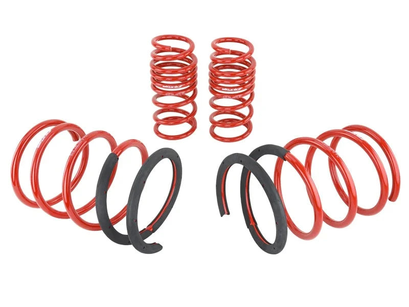 Skunk2 02-04 Acura RSX Lowering Springs (2.25in - 2.00in.) (Set of 4) - Back View