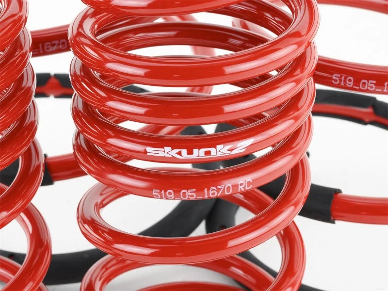 Skunk2 02-04 Acura RSX Lowering Springs (2.25in - 2.00in.) (Set of 4) - Additional View 5