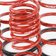 Load image into Gallery viewer, Skunk2 02-05 Honda Civic Si Hatchback Lowering Springs (2.25in - 2.00in.) (Set of 4) - Additional View 6