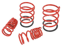 Load image into Gallery viewer, Skunk2 02-05 Honda Civic Si Hatchback Lowering Springs (2.25in - 2.00in.) (Set of 4) - Additional View 7