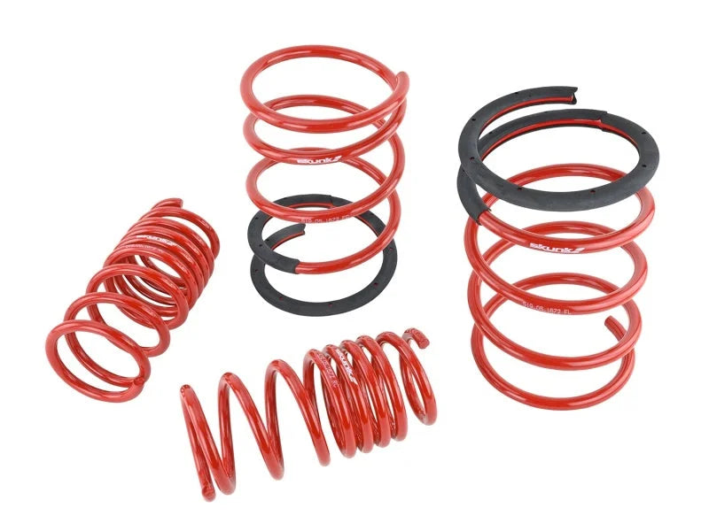 Skunk2 05-06 Acura RSX Lowering Springs (2.25in - 2.00in.) (Set of 4) - Back View