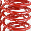 Load image into Gallery viewer, Skunk2 06-09 Honda Civic Lowering Springs (2.25in - 2.00in.) (Set of 4) - Additional View 5