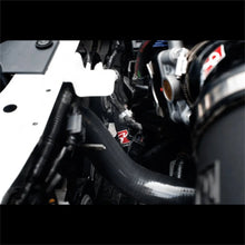 Load image into Gallery viewer, Skunk2 12-3 Honda Civic Si Radiator Hose Kit - Additional View 5