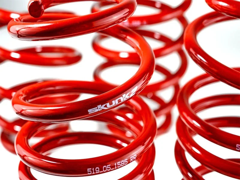 Skunk2 12 Honda Civic Lowering Springs (2.25 - 2.00in) (Set of 4) - Back View