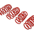 Load image into Gallery viewer, Skunk2 12 Honda Civic Lowering Springs (2.25 - 2.00in) (Set of 4) - Additional View 6