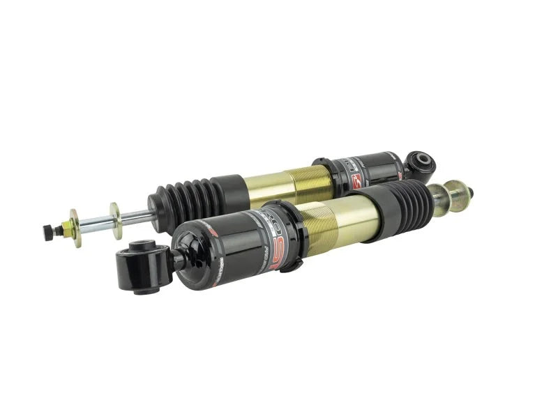 Skunk2 14-15 Honda Civic Pro ST Coilovers - Back View