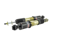 Load image into Gallery viewer, Skunk2 14-15 Honda Civic Pro ST Coilovers - Back View