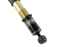 Load image into Gallery viewer, Skunk2 14-15 Honda Civic Pro ST Coilovers - Additional View 7
