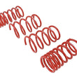 Load image into Gallery viewer, Skunk2 2013 FR-S/BRZ/FT86 Lowering Springs (Set of 4) - Side View